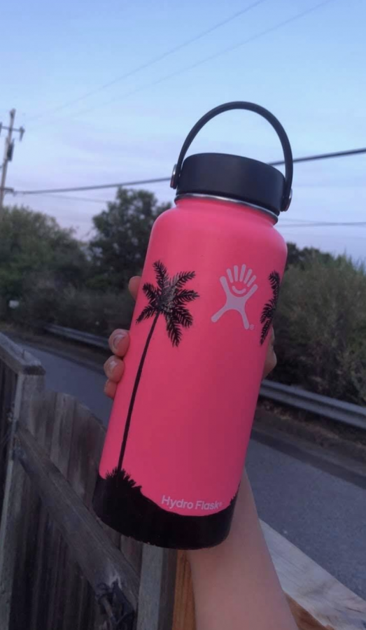 Chen painted a simplistic design of palm trees onto her water bottle. 