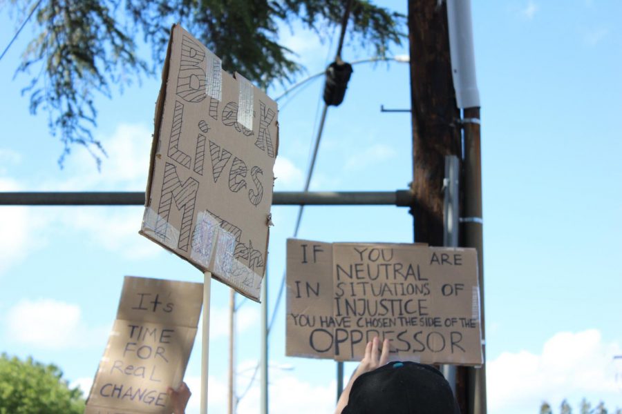 Signs held by protestors while marching. 