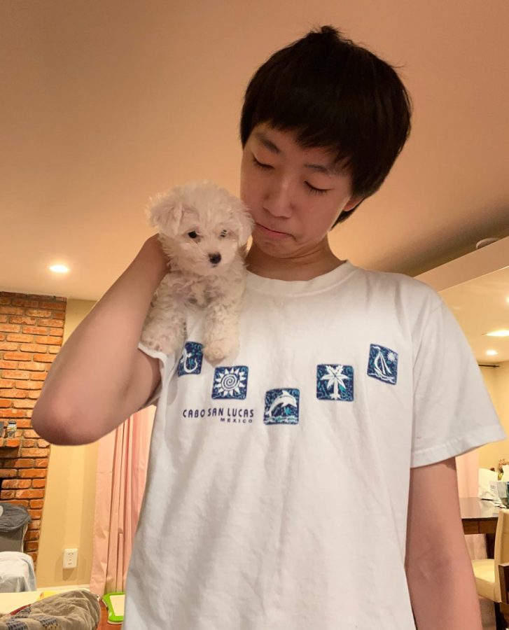 Mochi is junior Marvin Wu’s family’s first pet. Wu and his family play with her in their backyard.