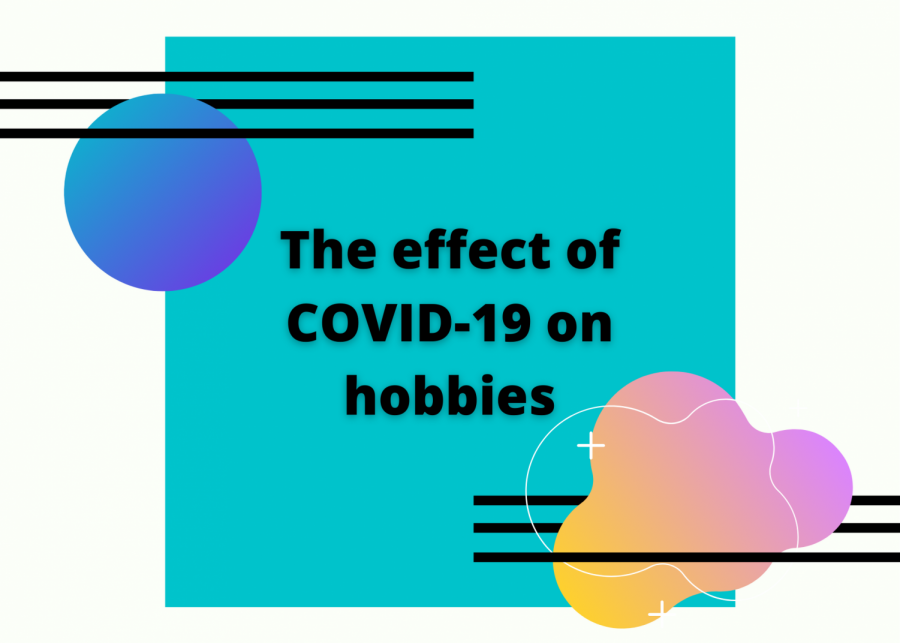 The effect of COVID-19 on hobbies