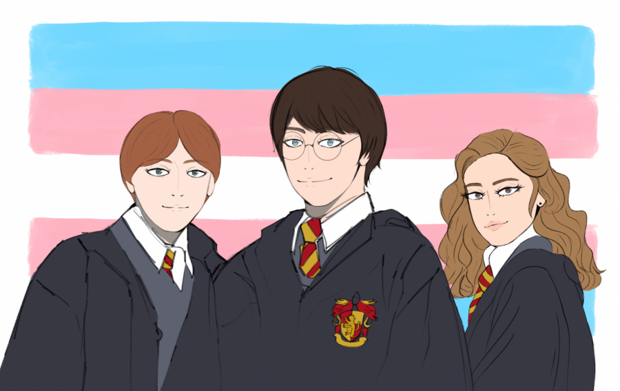 Harry Potter, Ron Weasley, and Hermione Granger set in front of the transgender flag.