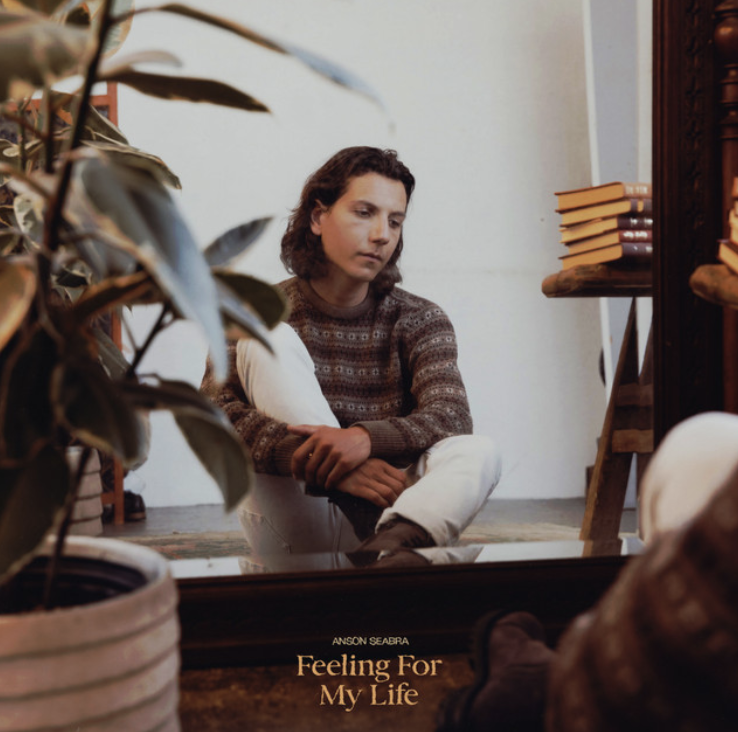 The cover of Anson Seabras EP, Feeling For My Life, features him sitting on the floor, looking at himself through a mirror