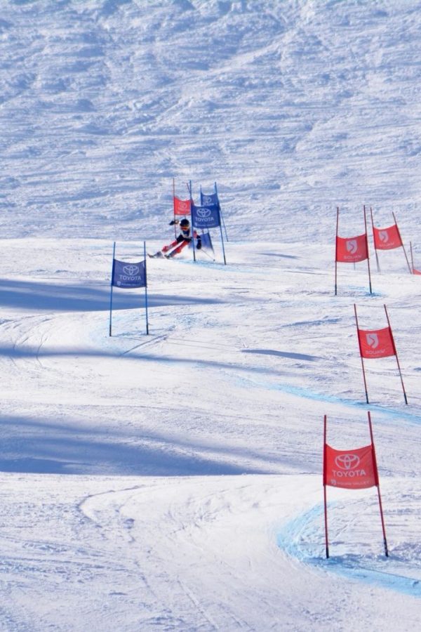 Examining+the+ups+and+downs+of+skiing