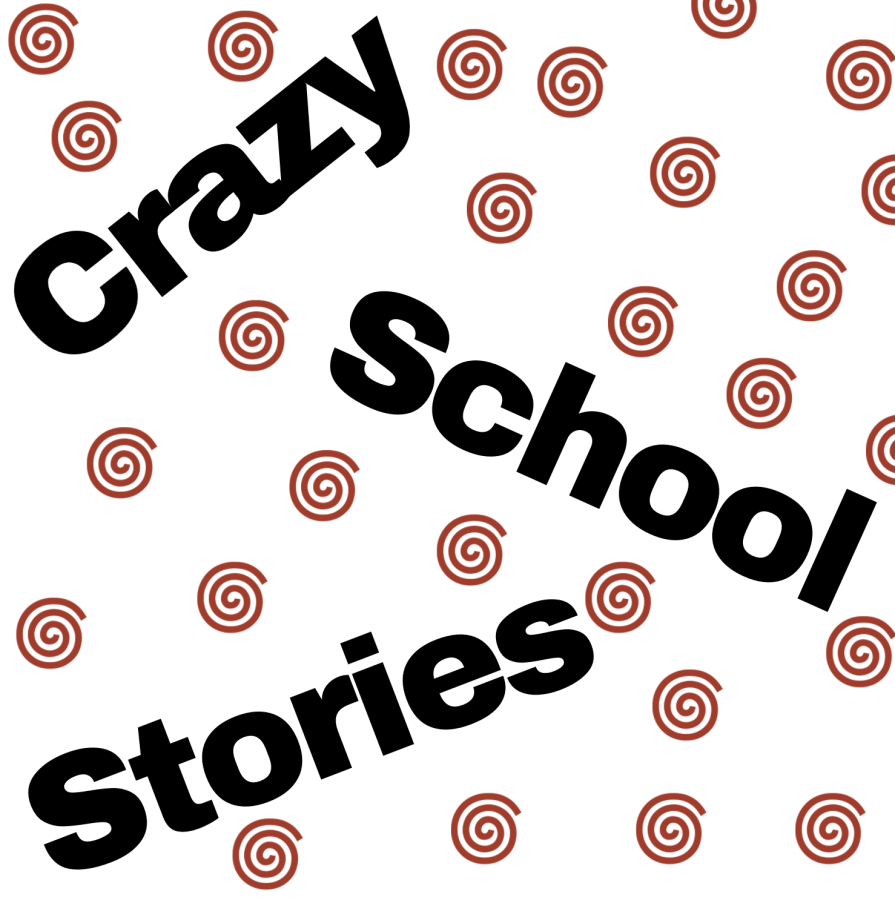 Crazy School Stories
