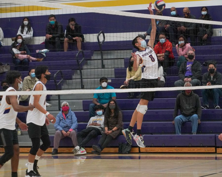 Senior Lance Tong leaps into the air to tip the ball over the net. Photo by Michelle Zheng