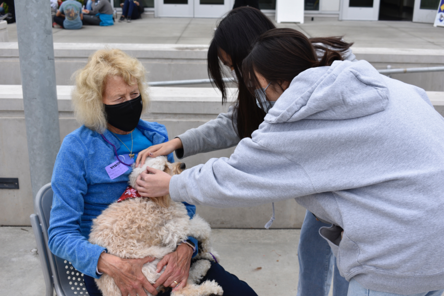 Students pet a dog during the Furry Friends event run by Bring Change 2 Mind before finals week. 