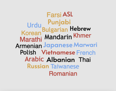 The languages of MVHS