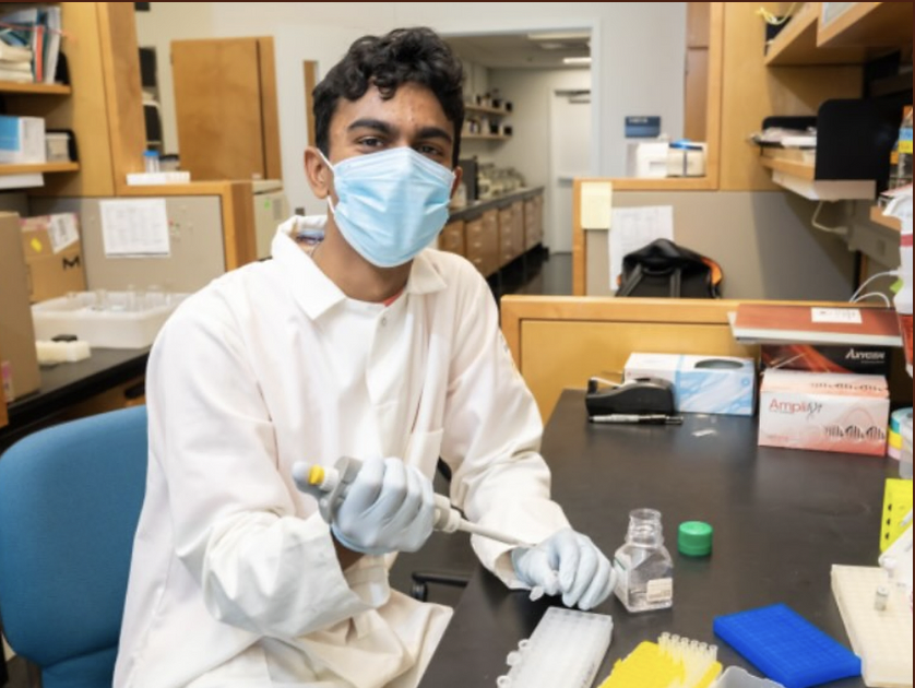 CHS senior Rohan Tirumala went to UC Davis Young Scholars Program to learn more about medicine. Photo courtesy of Rohan Tirumala. 
