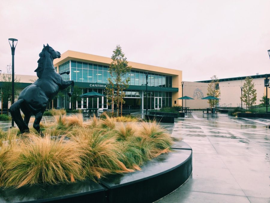 A photo showing the front of the HHS cafeteria and its mustang statue.