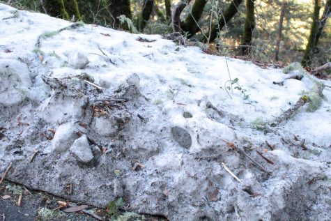 Clumps of snow were spotted at Saratoga Quarry Park. 