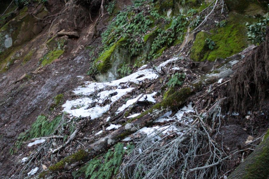 Most of the snow was residing alongside the road in late February.