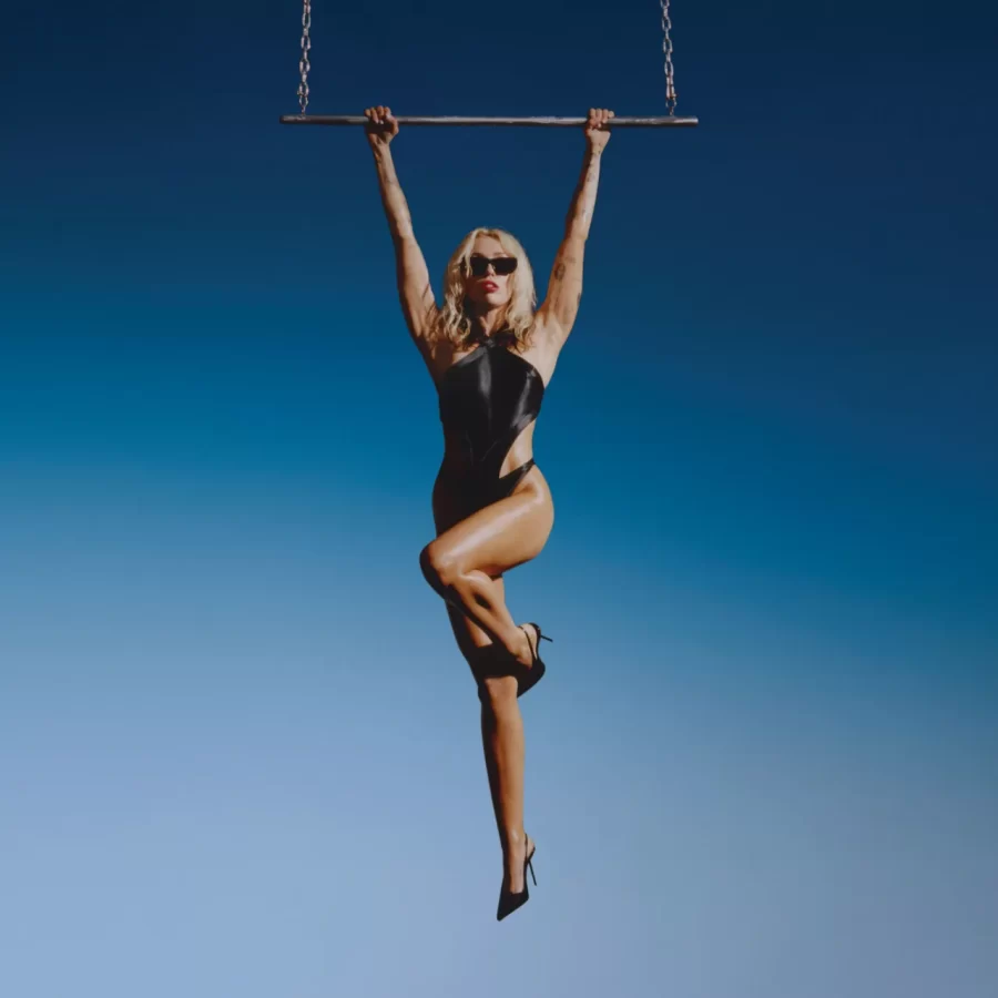 The album cover of Endless Summer Vacation features singer Miley Cyrus holding onto a hanging bar, dressed in a black bathing suit, black sunglasses and black heels.