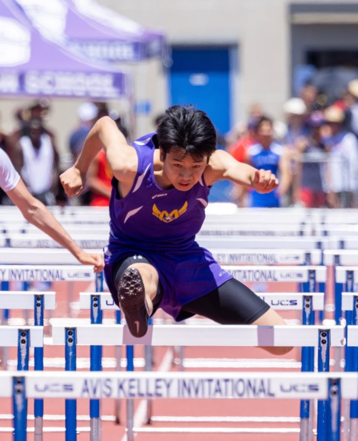 Junior Ethan Lu leaps over a hurdle at CCS Championships. 