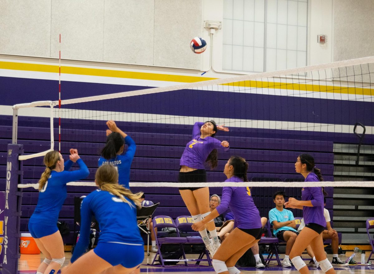 Junior and middle blocker Ashley Yang jumps up to hit the ball. 
