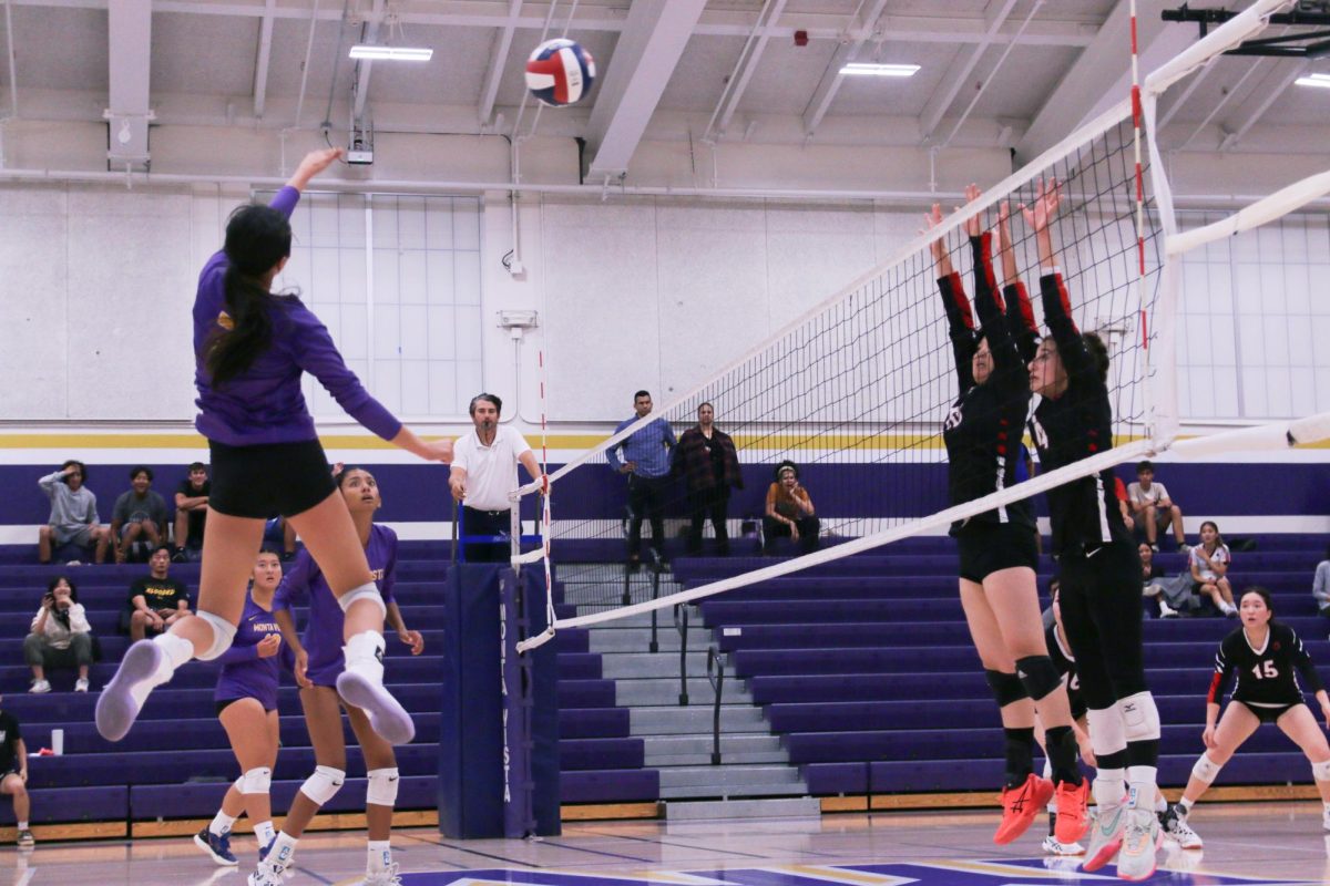 Sophomore Chloe Chen spikes the ball over the net