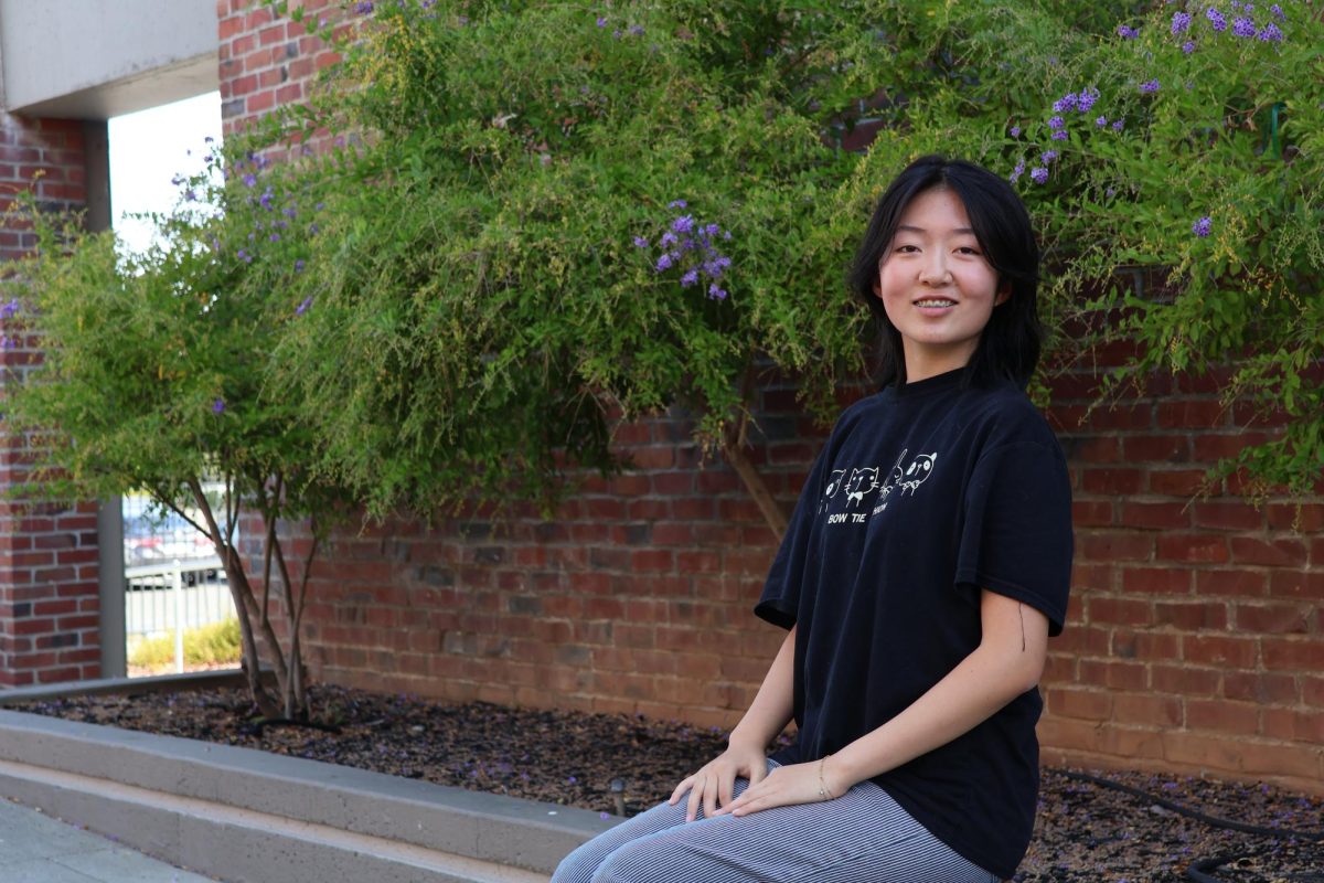 Liz Liu