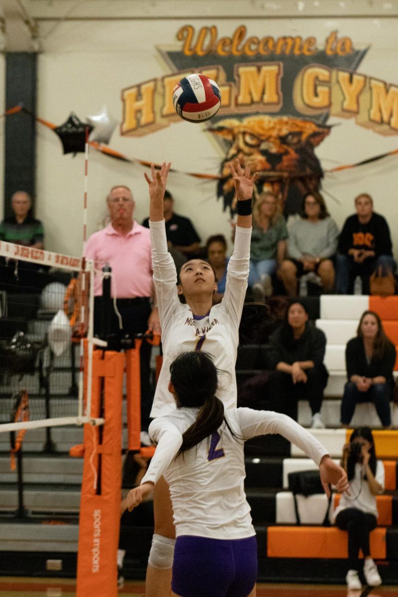 Sophomore+Chloe+Chens+position+is+a+setter%2C+which+sets+the+ball+up+for+various+hitters.