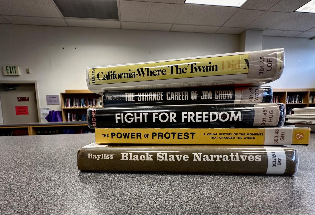 The MVHS Library has historically provided a variety of inclusive texts. 