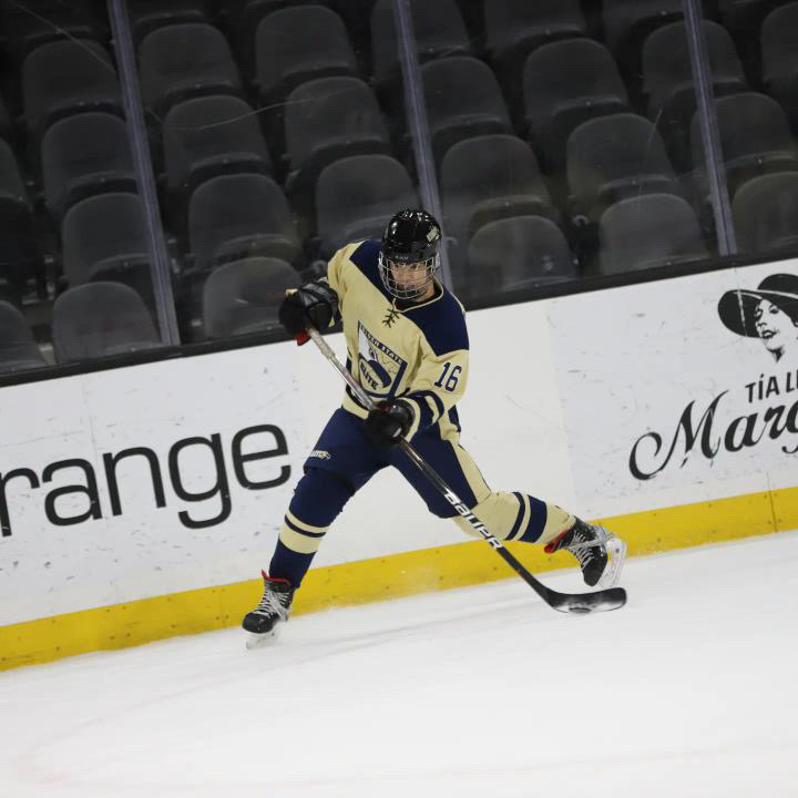 Sophomore Christopher Lamfalusi attempts a pass during a hockey game.
