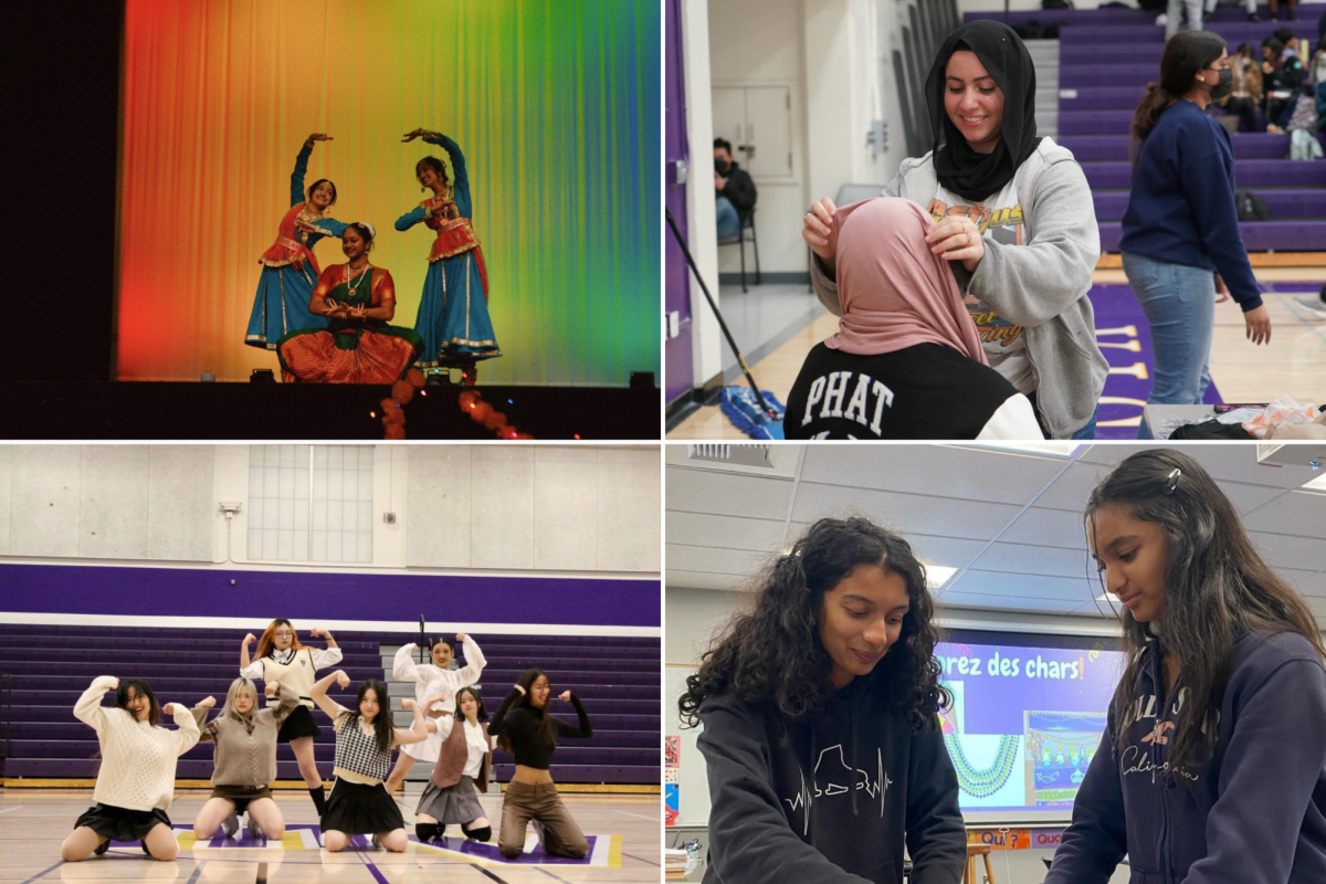 Various cultural clubs exist around MVHS, hosting events, shows and meetings. | Photos by Dylan Canoglu, Lily Jiang, Michelle Zheng and Yutong Zhong