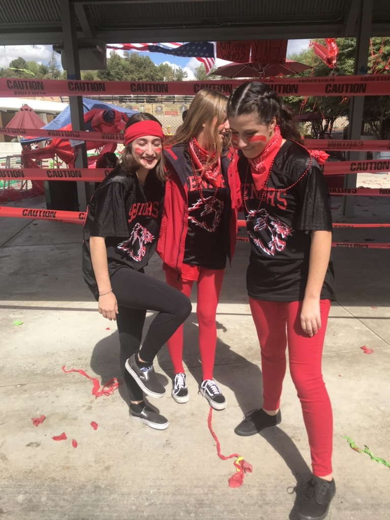 Cassar and her friends laugh side-by-side under the bleachers while decked out in school colors for homecoming festivities. Photo courtesy of Rachel Cassar | Used with permission
