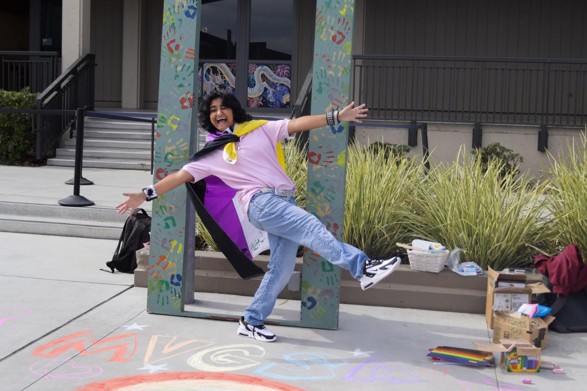 
Junior Alex Sharma strikes a pose for the other GSA club members in front of the “coming out” door. Photo | Megha Mummaneni