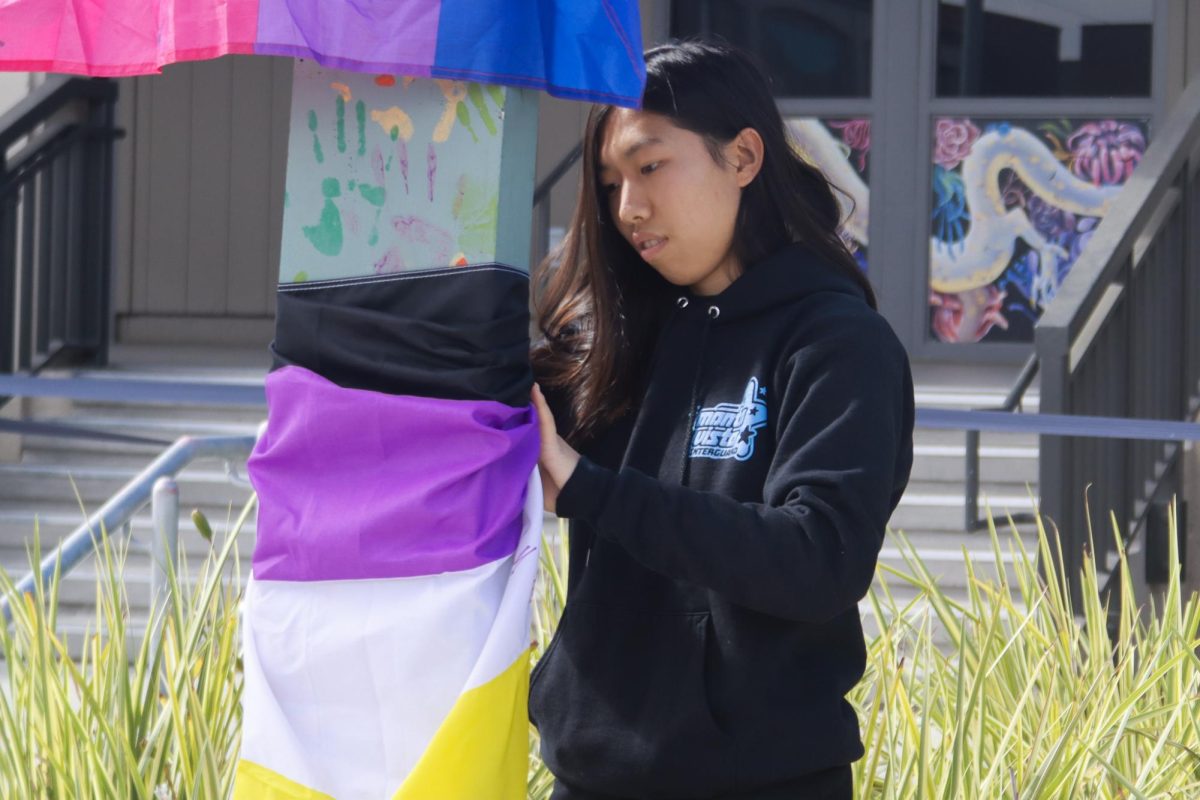 Students celebrated the event with chalk art and the unveiling of pride flags