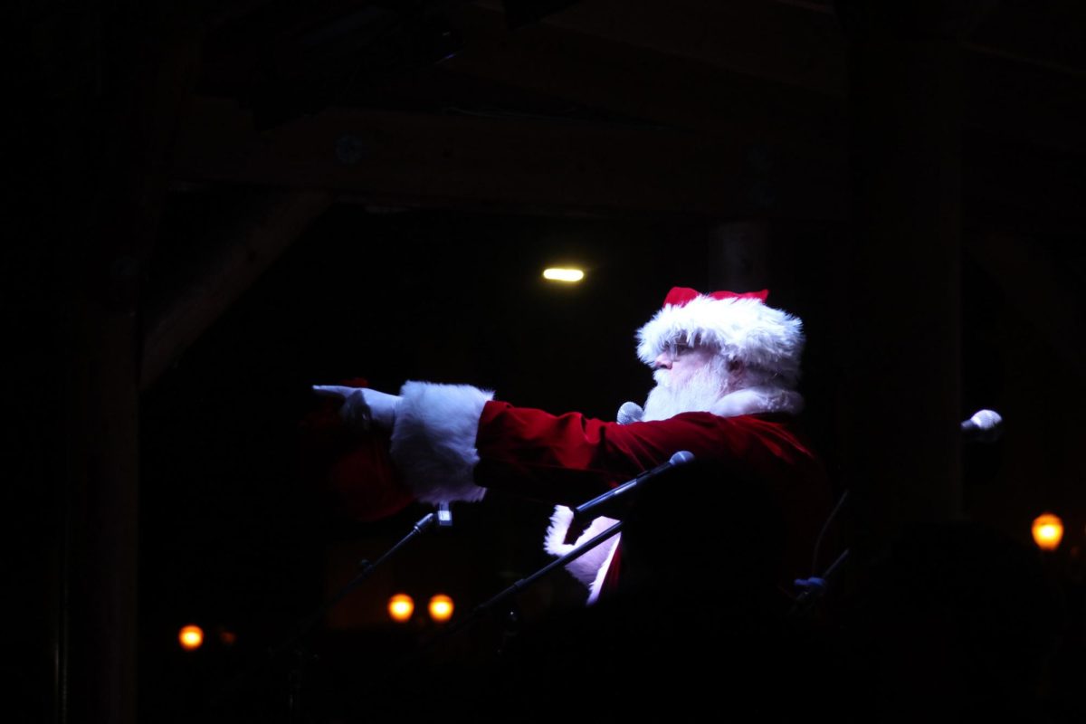 Christmas in the Park hosted the San Jose Tree Lighting on Friday, Nov. 29. 