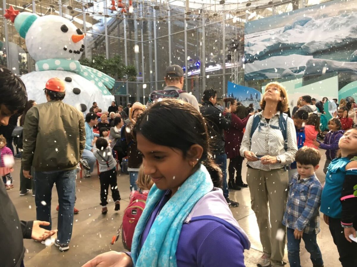 Senior Pallavi Mallik spent one of her elementary school Christmas's on vacation with her family. Photo courtesy of Pallavi Mallik | Used with permission
