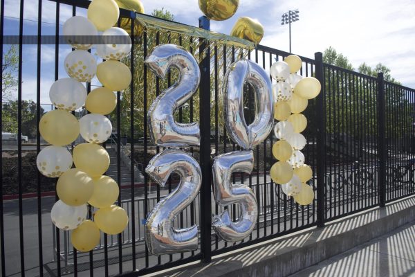 Festive balloons lined the deck of the pool for senior night.