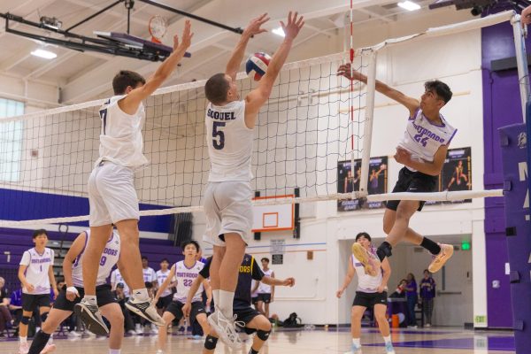 Senior and starting outside hitter Praneel Shah spikes the ball over the net. Photo | Katrina Lin