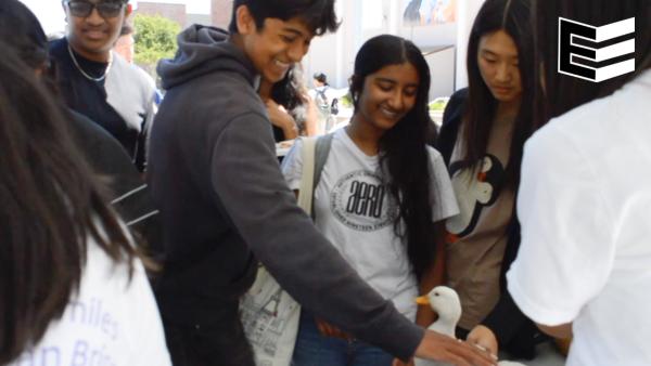 Animal Assisted Happiness visits MVHS community