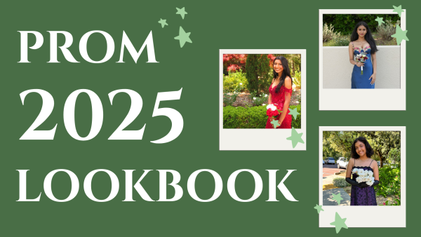 Graphic | Sana Karkhanis and Canva
