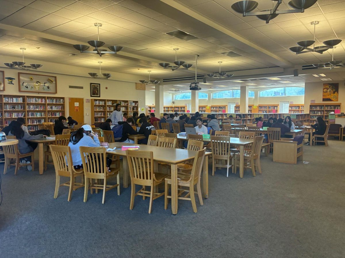 Students studying in the library. Photo | Asha Wojciechowski
