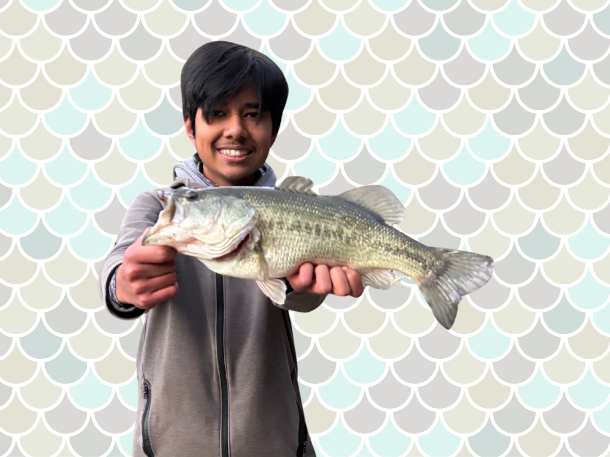 Sophomore Oliver D’Souza holds out one of his catches at the Stevens Creek Reservoir. Photo courtesy of Oliver D’Souza | Used with permission