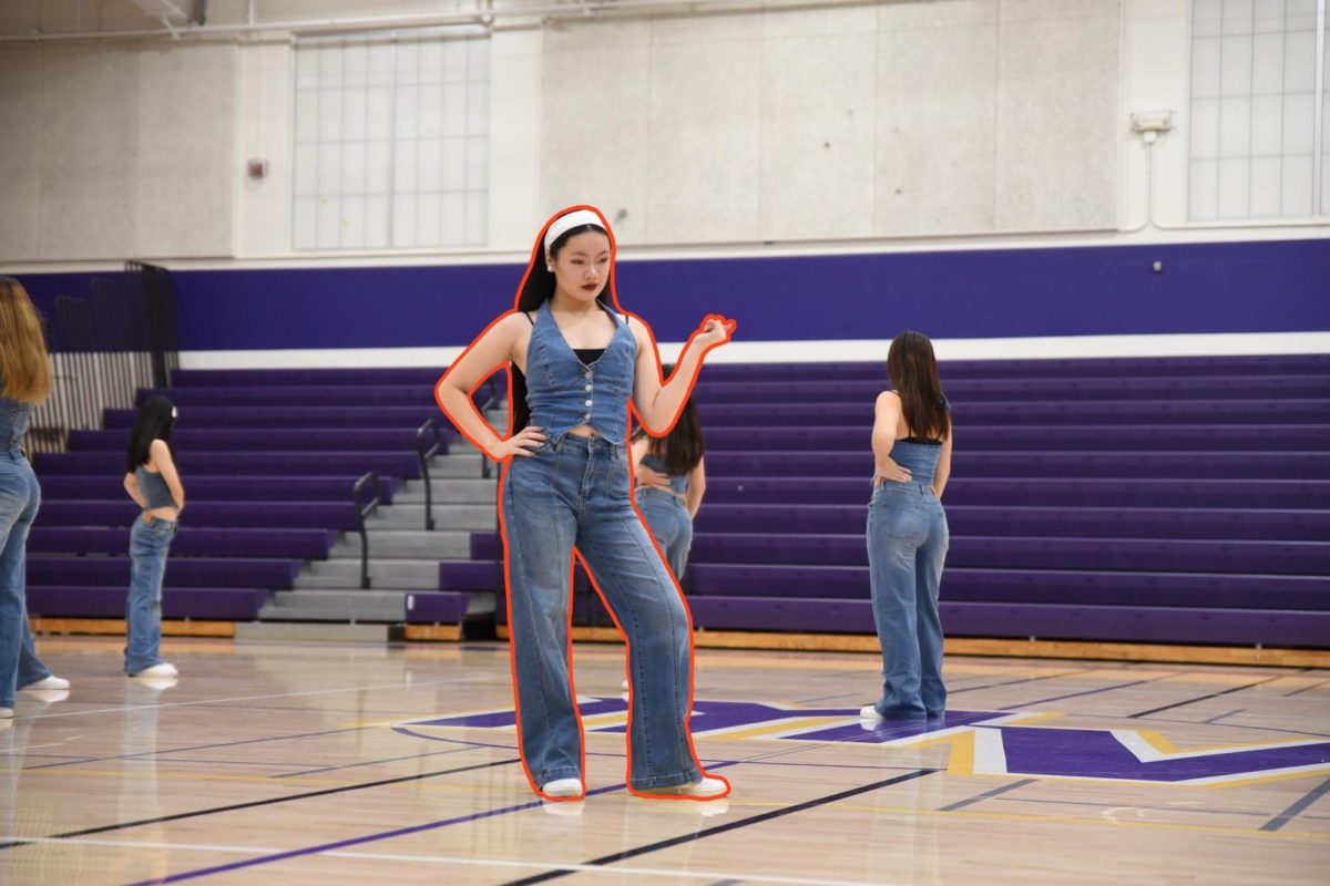 Senior Ellie Wang poses while performing at the MVDT Winter Showcase. Photo Illustration | Ananda Singh