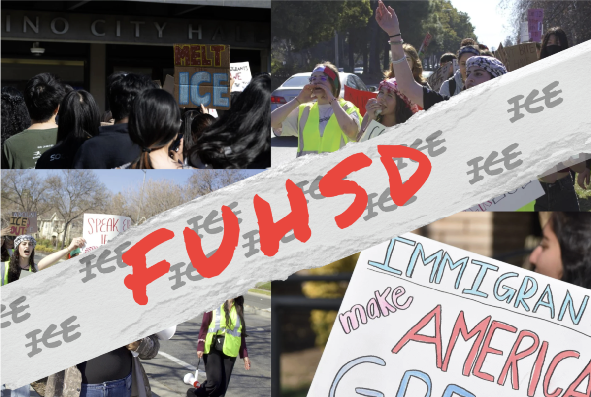 Hundreds of students from schools including Fremont High School, Homestead High School, LHS and MVHS left campus during the school day and marched toward different local city halls. Photo Illustration | Zaid Naqvi