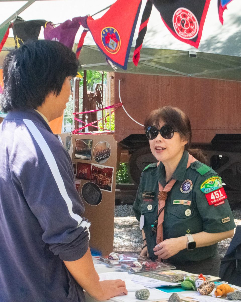 The festival celebrates the Bay Area scouting community through arts and crafts, games and music performances